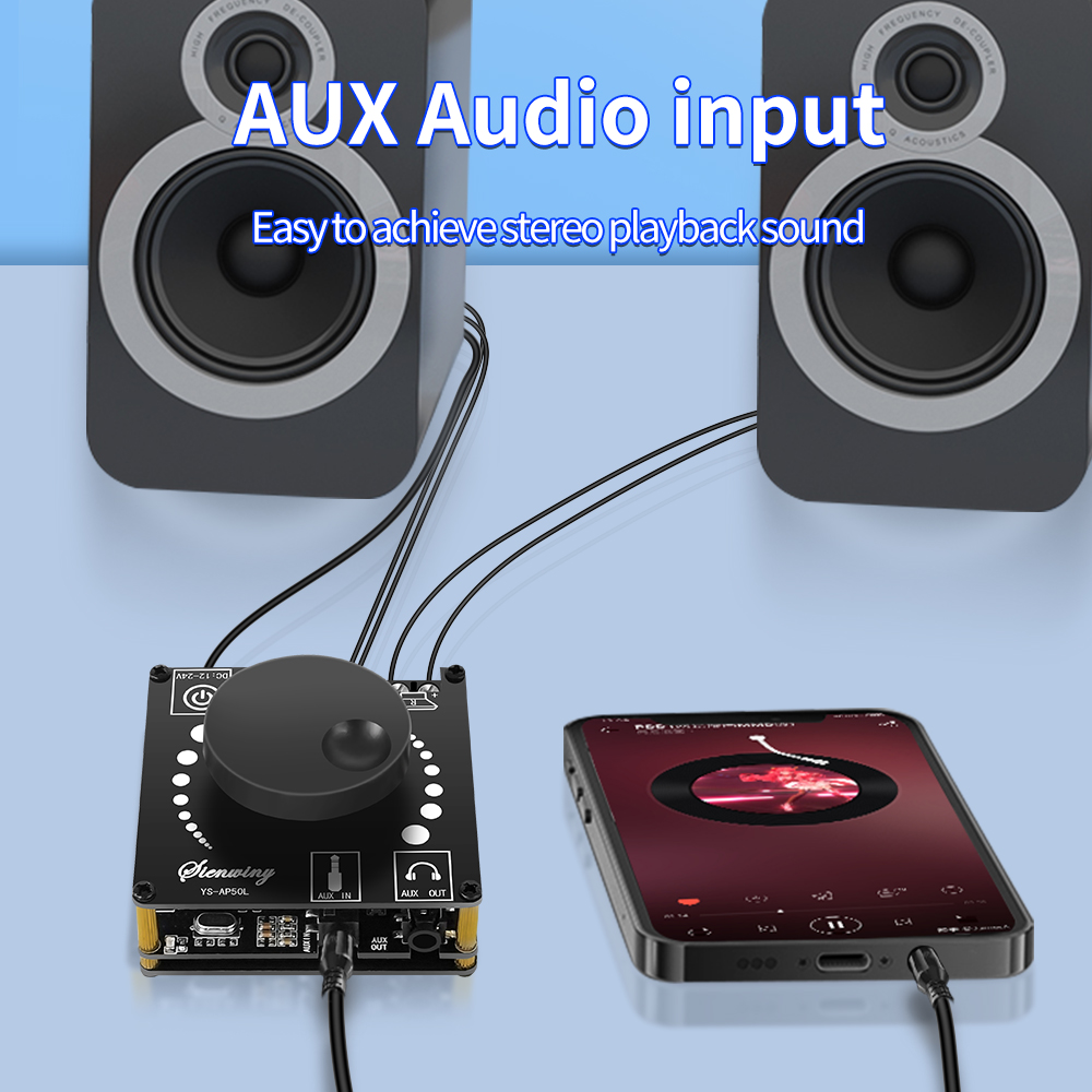 DIY Ses Modifikasyon Modülü 50 - Diy Audio Electronics Kit incelemesi ve fiyatı